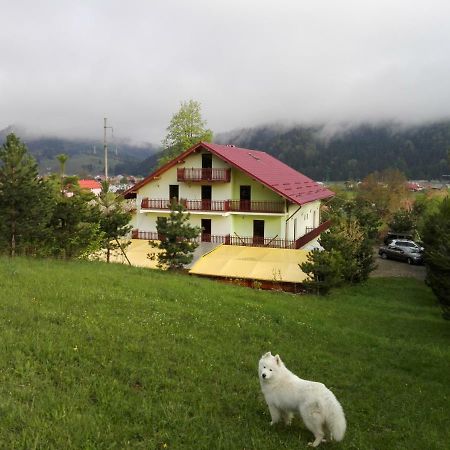 Grandemi Belvedere Bucovina Frasin ภายนอก รูปภาพ