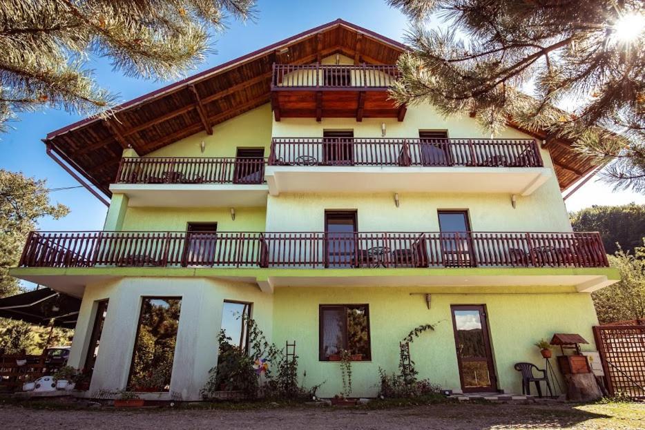 Grandemi Belvedere Bucovina Frasin ภายนอก รูปภาพ