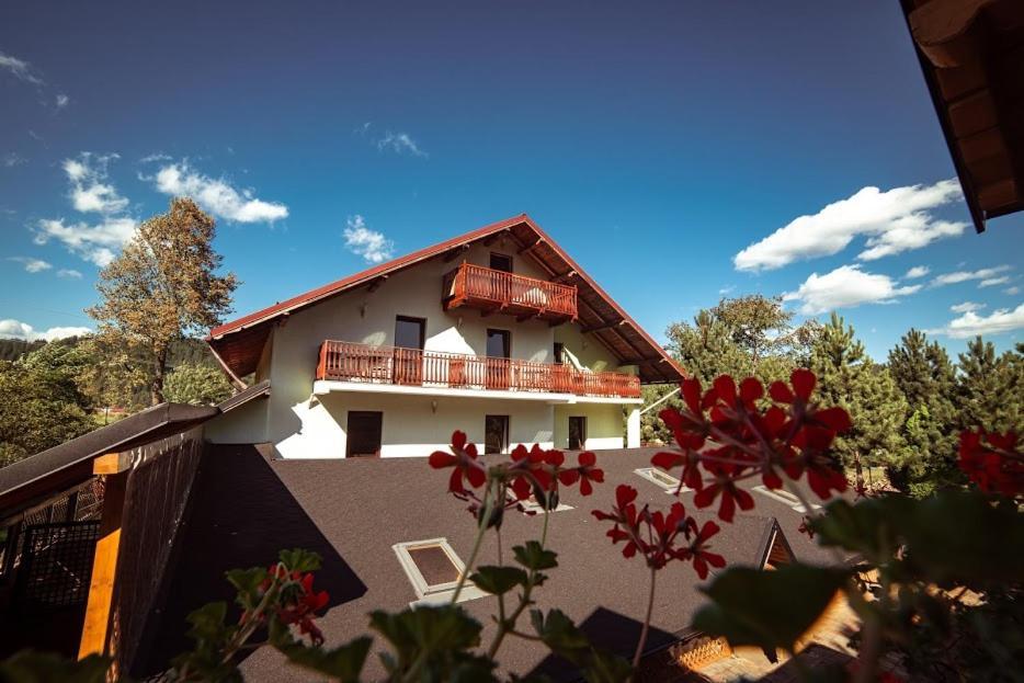 Grandemi Belvedere Bucovina Frasin ภายนอก รูปภาพ
