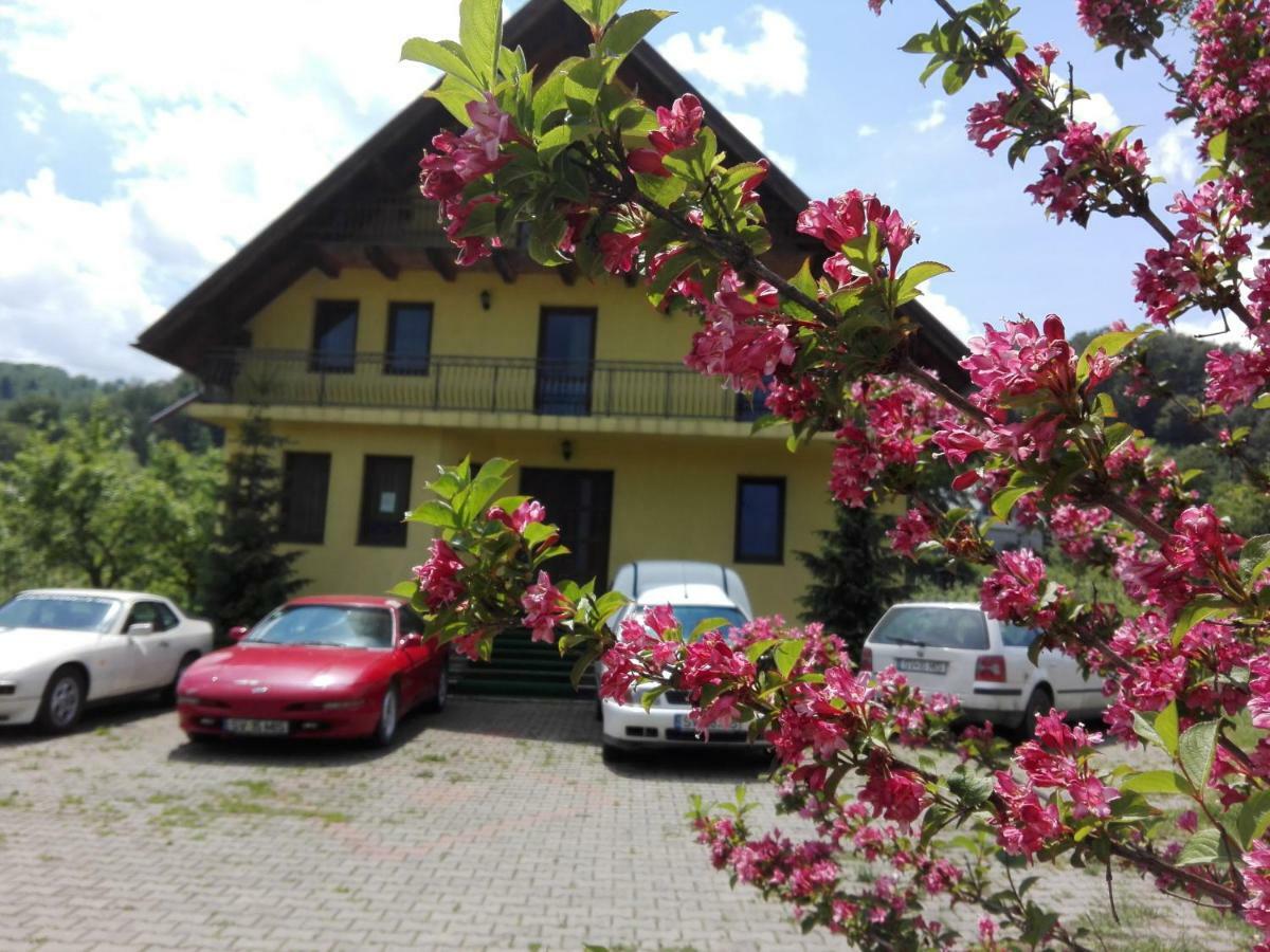 Grandemi Belvedere Bucovina Frasin ภายนอก รูปภาพ