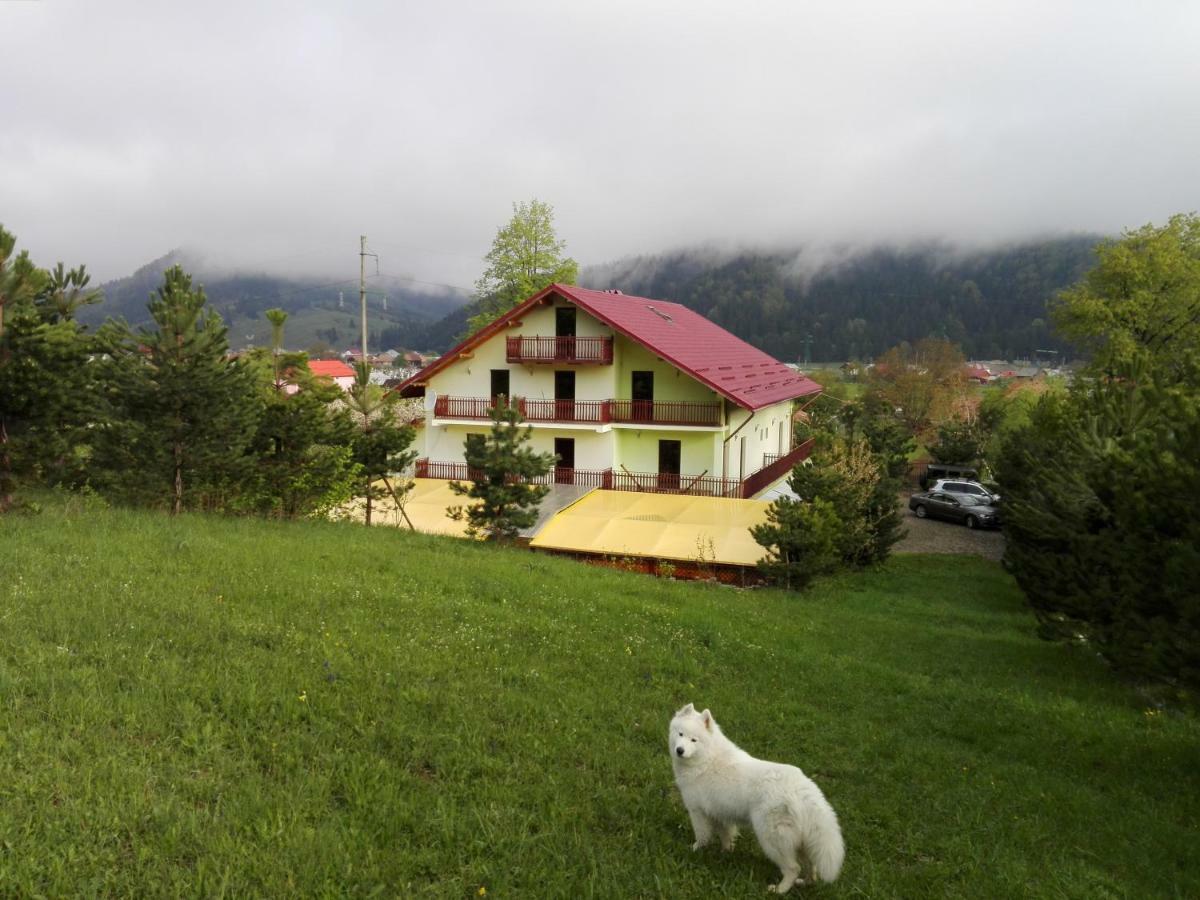 Grandemi Belvedere Bucovina Frasin ภายนอก รูปภาพ